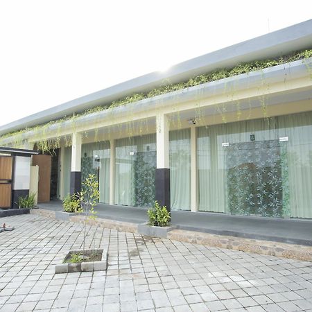 V Canggu Dormitory Eksteriør billede