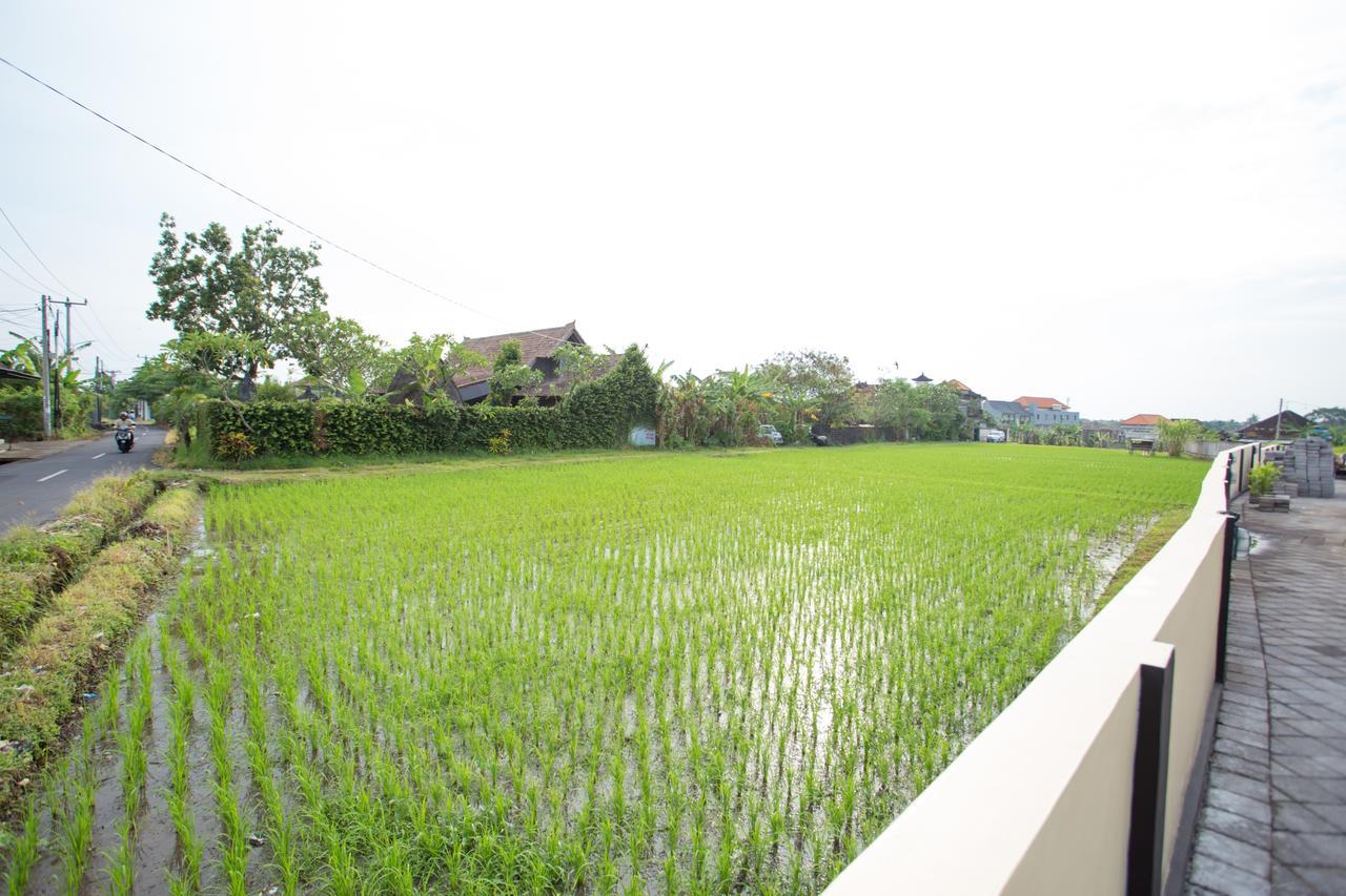 V Canggu Dormitory Eksteriør billede