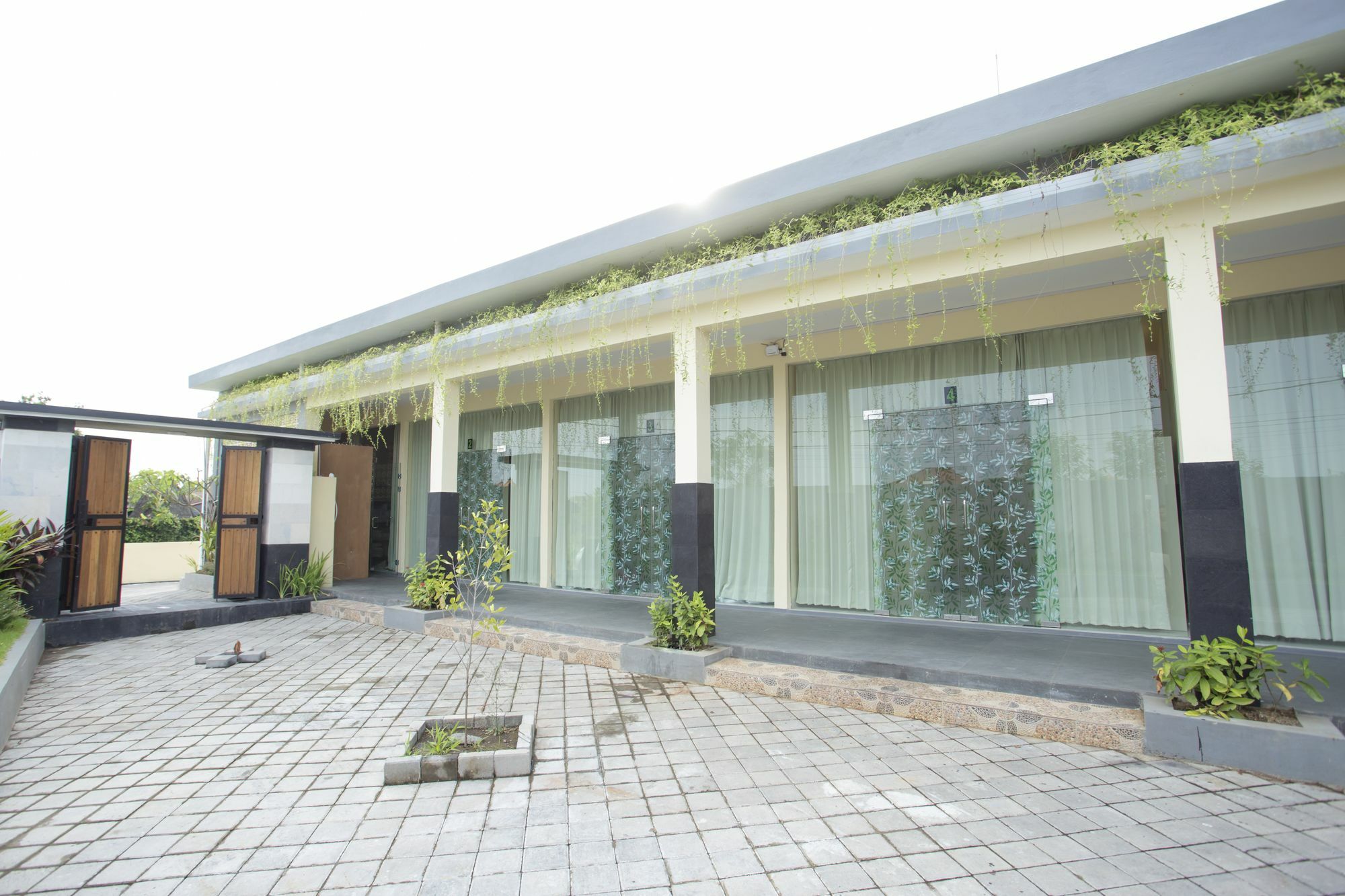 V Canggu Dormitory Eksteriør billede